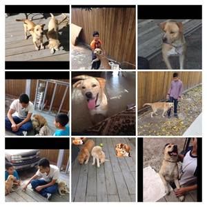 Meet your Posher, Chris